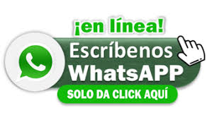 en linea whatsapp