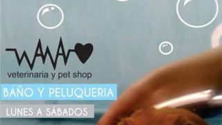 etologo asuncion Veterinaria Wawao