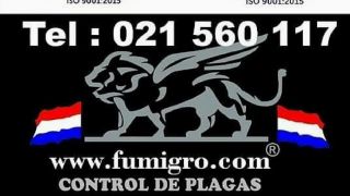 desinfeccion cucarachas asuncion Fumigro Control de Plagas