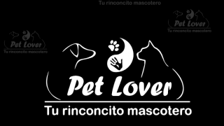 lugares para comprar un hamster en asuncion Petlover