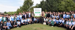 cursos fitosanitarios asuncion Instituto Interamericano de Cooperación para la Agricultura